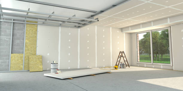 Best Wall Insulation Contractor  in Baraboo, WI